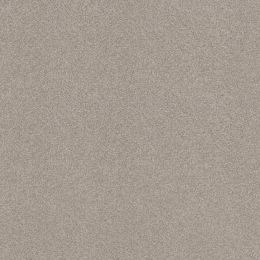 Shaw Floors - Carpet - COMFORTING II - Anonymous