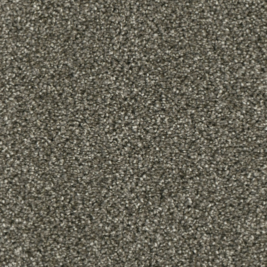 Primco - Estates Carpet - Grand Style Collection - Awareness