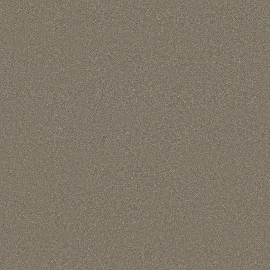 Shaw Floors - Carpet - Classics Collection  - Awaken Spirit II - 12' - Bungalow