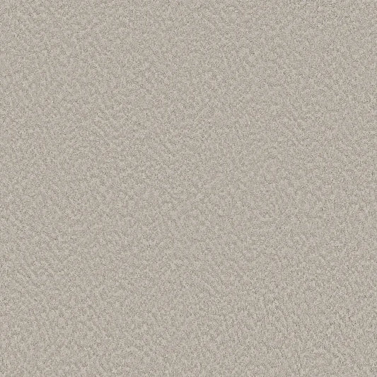 Shaw Floors - Carpet - Foundations Collection  - Alluring Canvas - Baltic Stone