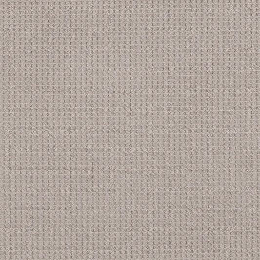 Shaw Floors - Carpet - Foundations Collection - Faint Intent - Baltic Stone