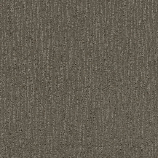 Shaw Floors - Carpet - Simply The Best Collection - Bandon Dunes - Charcoal