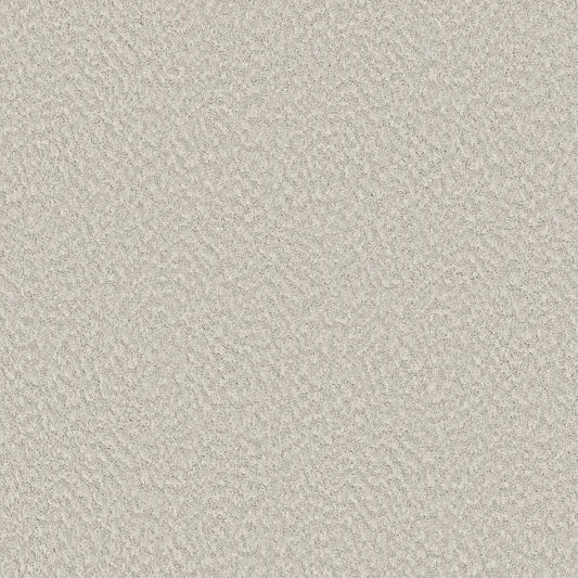 Shaw Floors - Carpet - Foundations Collection  - Alluring Canvas - Champagne Toast