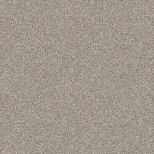 Shaw Floors - Carpet - Simply The Best  - Attainable - Desert Light