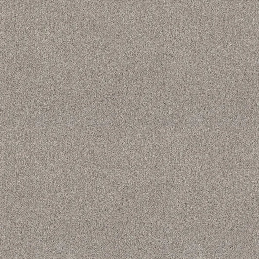 Shaw Floors - Carpet - COMFORTING I - French Buff