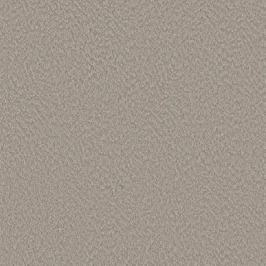 Shaw Floors - Carpet - Foundations Collection  - Alluring Canvas - Fossil Path