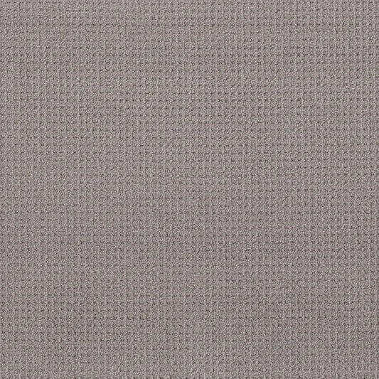 Shaw Floors - Carpet - Foundations Collection - Faint Intent - Grey Fox