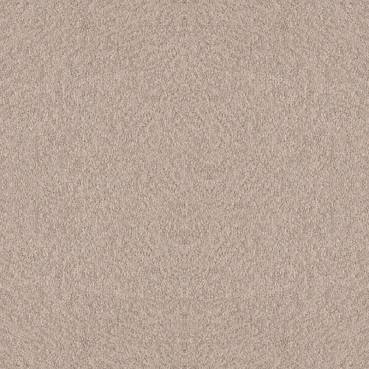 Shaw Floors - Carpet - Foundations Collection  - Alluring Canvas - Heirloom