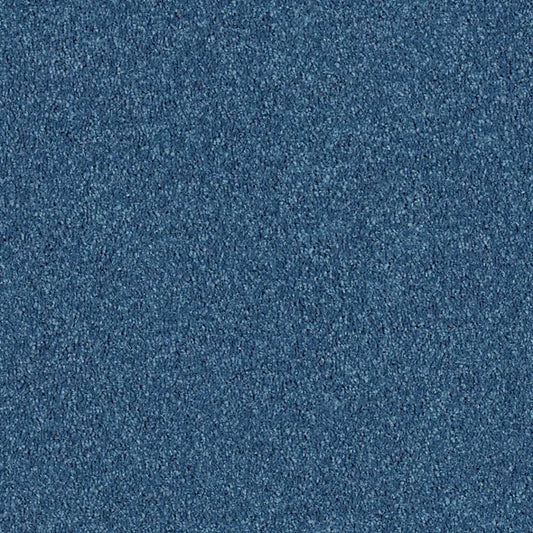 Shaw Floors - Carpet - Full Court 12' - Indigo