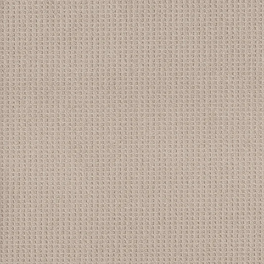 Shaw Floors - Carpet - Foundations Collection - Faint Intent - Sun Kissed