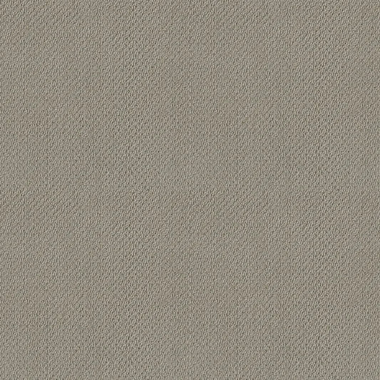 Shaw Floors - Carpet- Foundations Collection - Lady In Gray