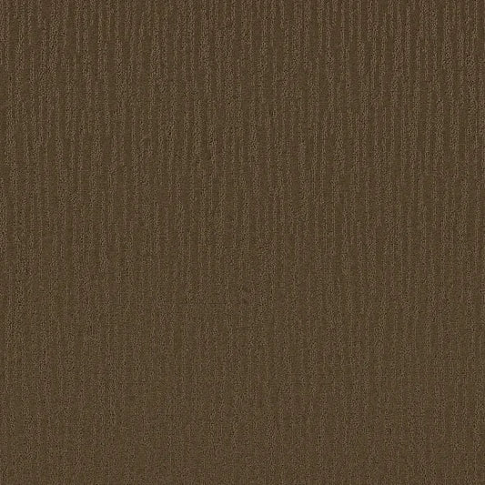 Shaw Floors - Carpet - Simply The Best Collection - Bandon Dunes - Mocha Chip