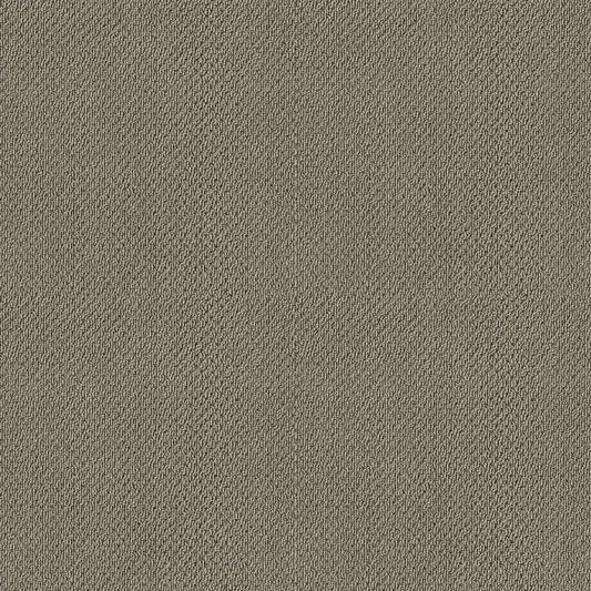 Shaw Floors - Carpet- Foundations Collection - Mocha