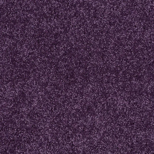 Shaw Floors - Carpet - Full Court 12' - Grape Slushy