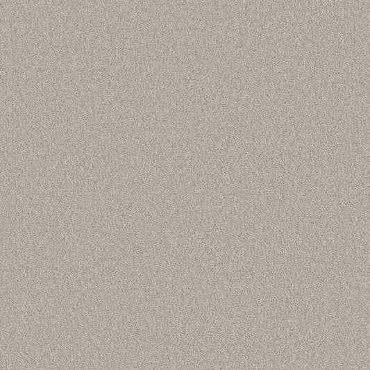 Shaw Floors - Carpet- Foundations Collection - HARMONIOUS III - Split Sediment