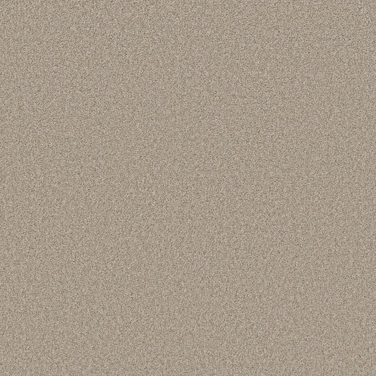 Shaw Floors - Carpet- Foundations Collection - HARMONIOUS III - Fossil Path