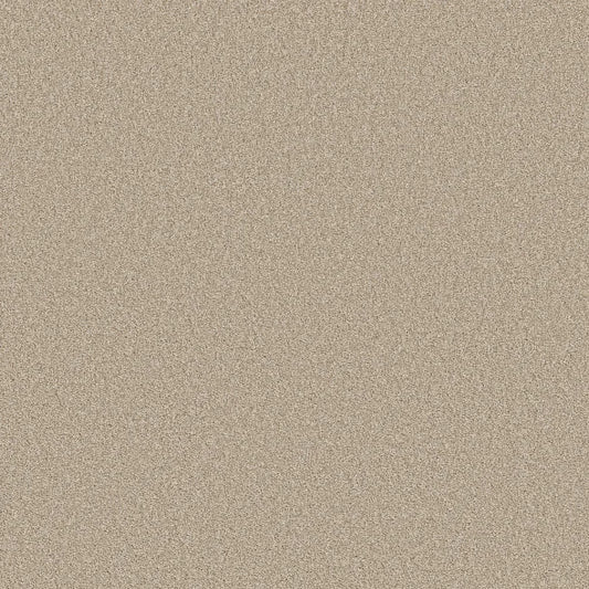 Shaw Floors - Carpet- Foundations Collection - HARMONIOUS III - Sandstone