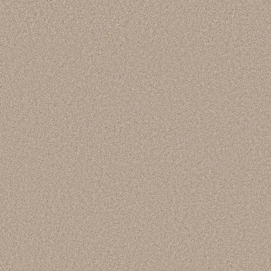 Shaw Floors - Carpet- Foundations Collection - HARMONIOUS III - Heirloom