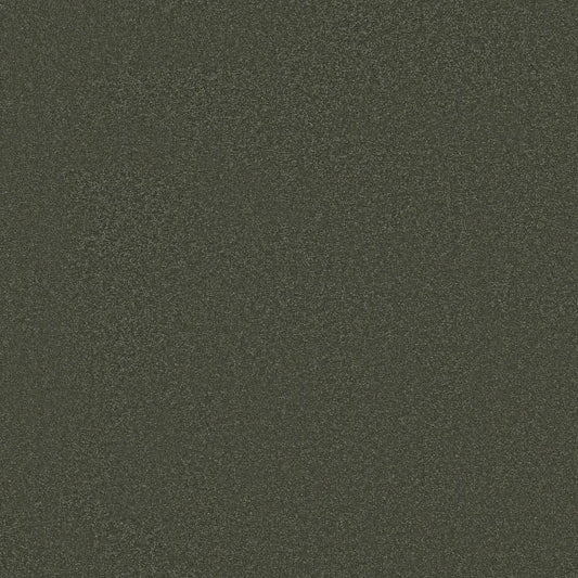 Shaw Floors - Carpet - Classics Collection  - Awaken Spirit II - 12' - Olive Tree