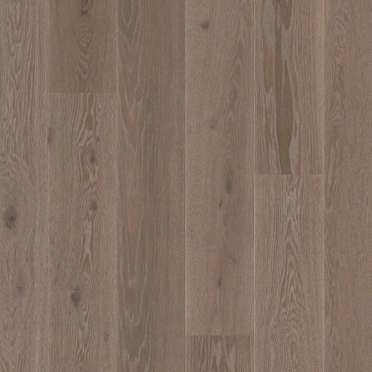 BOEN - LIVE PURE - CASTLE PLANK - 8 1/4" - OAK INDIA GREY