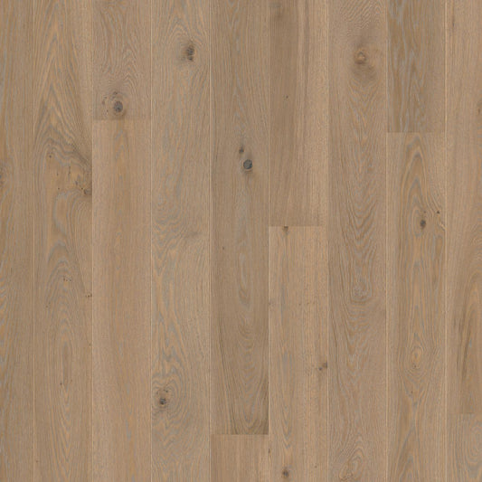 BOEN - LIVE PURE - ENGINEERED PLANK - 5 1/2" - OAK WARM GREY