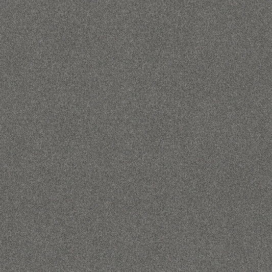 Shaw Floors - Carpet - COMFORTING II - Pencil Point