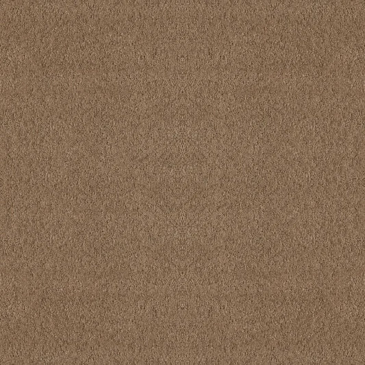 Shaw Floors - Carpet - Foundations Collection  - Alluring Canvas - Raw Wood