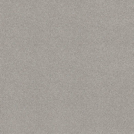 Shaw Floors - Carpet - COMFORTING II - Shimmer