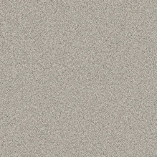 Shaw Floors - Carpet - Foundations Collection  - Alluring Canvas - Split Sediment