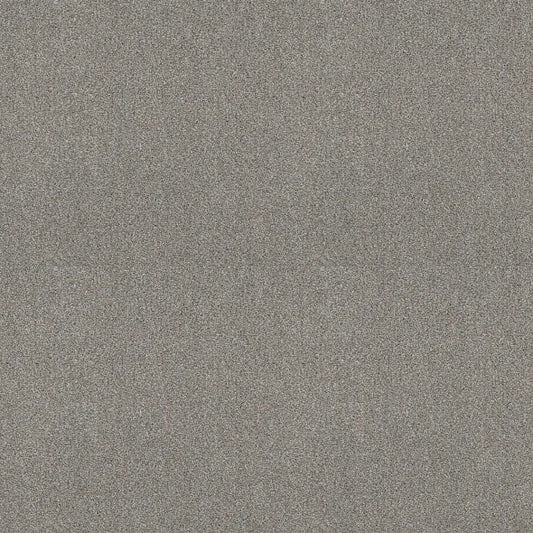 Shaw Floors - Carpet - COMFORTING II - Stepping Stone