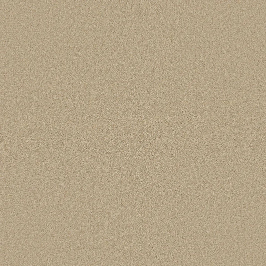 Shaw Floors - Carpet - COMFORTING II - Sesame Seed