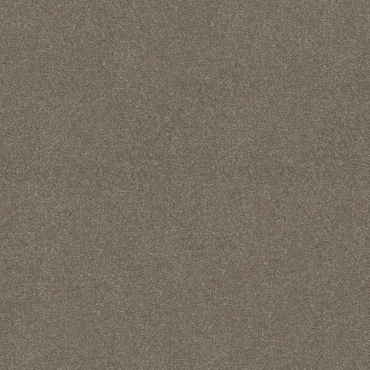 Shaw Floors - Carpet - Simply The Best  - Attainable - Smooth Taupe