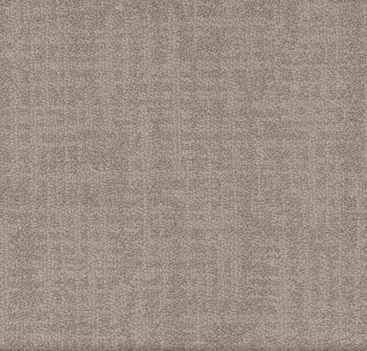 Primco - Estates Carpet - Crosswalk Collection - Immersed