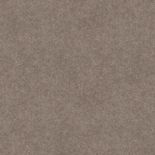 Shaw Floors - Carpet - Simply The Best  - TRUSOLUTIONS III - Taupe Dream