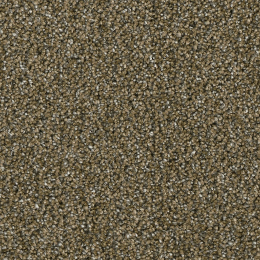 Primco - Estates Carpet - Grand Style Collection - Vision