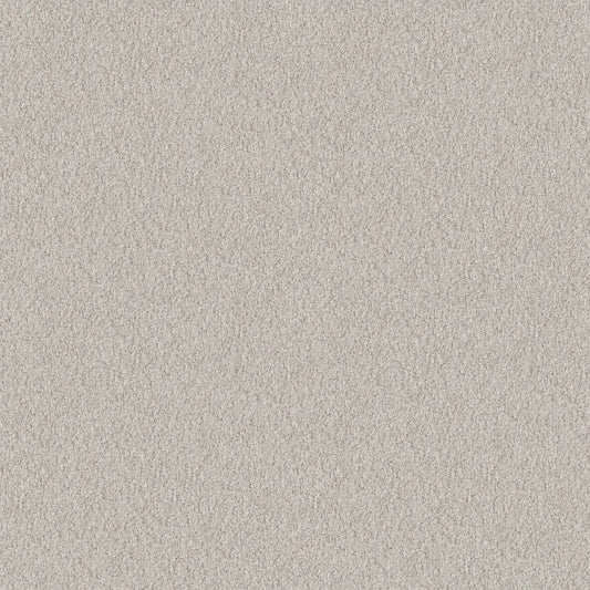 Shaw Floors - Carpet - Foundations Collection  - Alluring Canvas - Winters Dawn