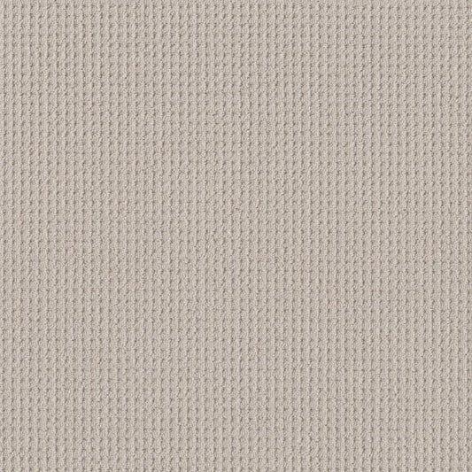 Shaw Floors - Carpet - Foundations Collection - Faint Intent - Winters Dawn