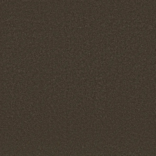 Shaw Floors - Carpet - Classics Collection  - Awaken Spirit II - 12' - Wood Grain